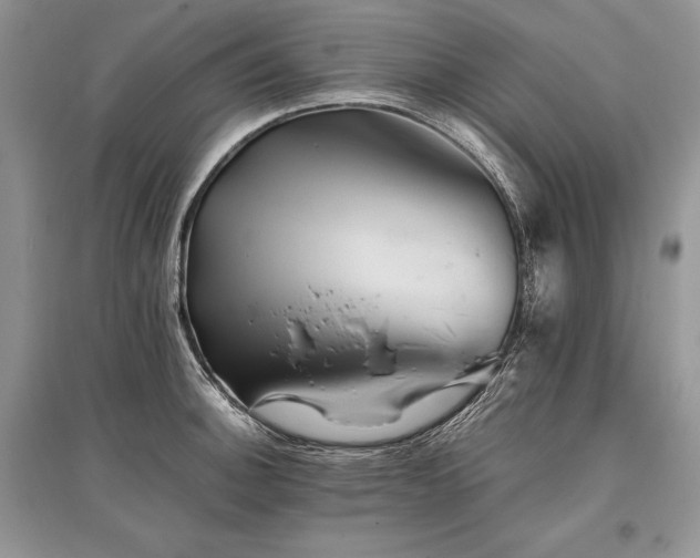 X0000096381140200801241231