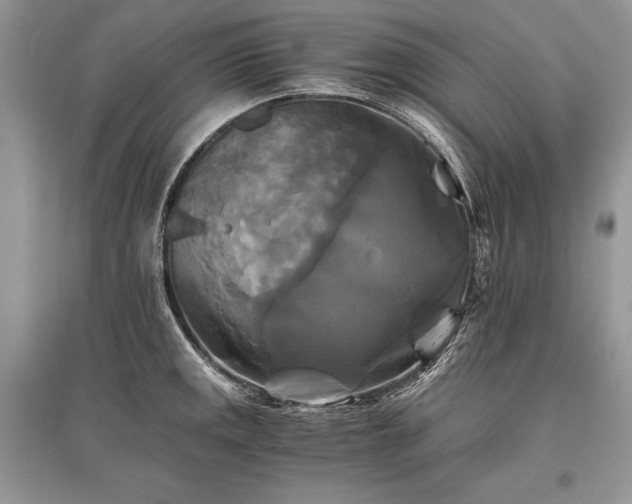 X0000096381141200801241231
