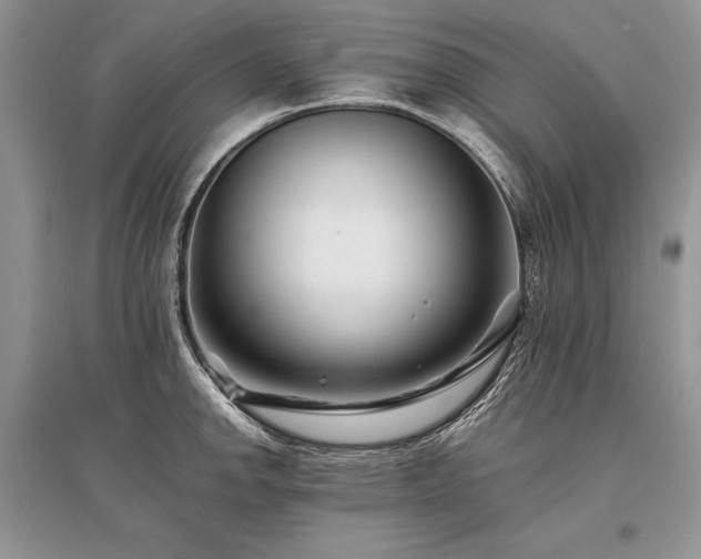 X0000096381142200801241231