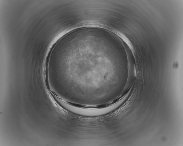 X0000096381144200801241231