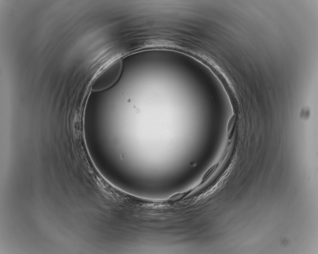 X0000096381145200801241231