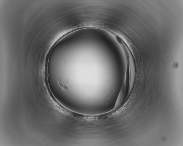 X0000096381147200801241231
