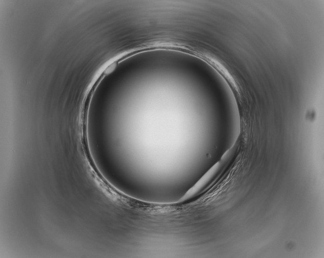 X0000096381148200801241231