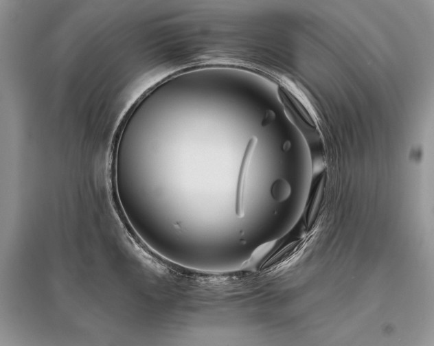 X0000096381149200801241231