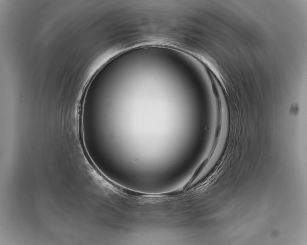 X0000096381151200801241231