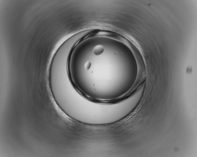 X0000096381152200801241231