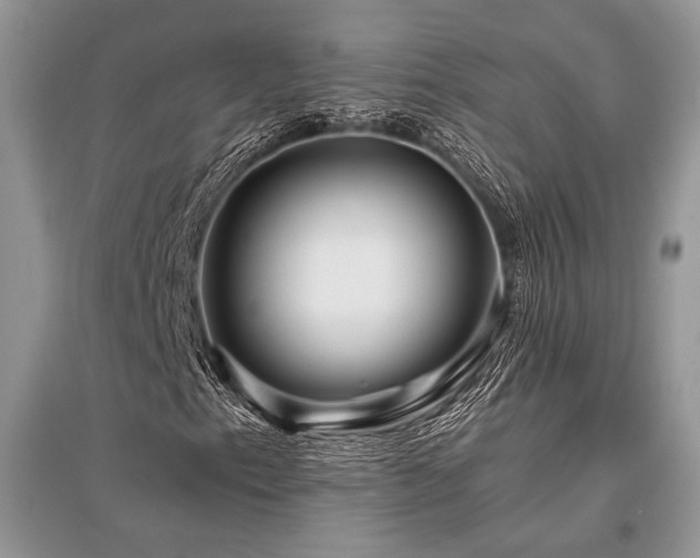 X0000096381153200801241230