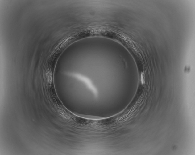 X0000096381155200801241230