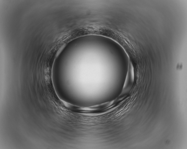 X0000096381156200801241230