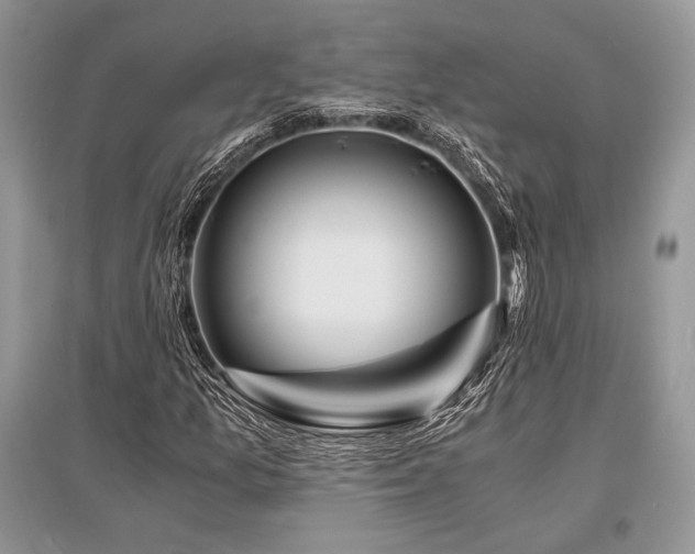 X0000096381157200801241230