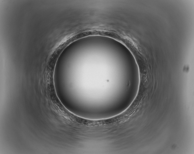 X0000096381159200801241230