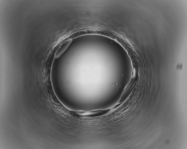 X0000096381160200801241230