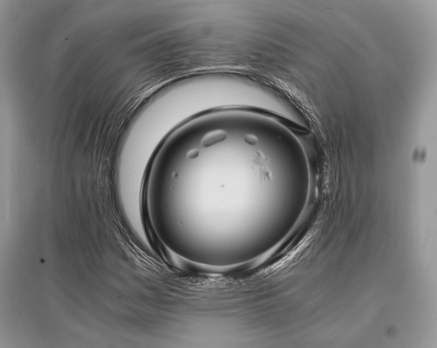 X0000096381161200801241230
