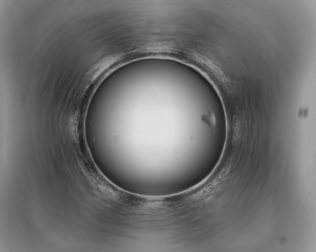 X0000096381162200801241230