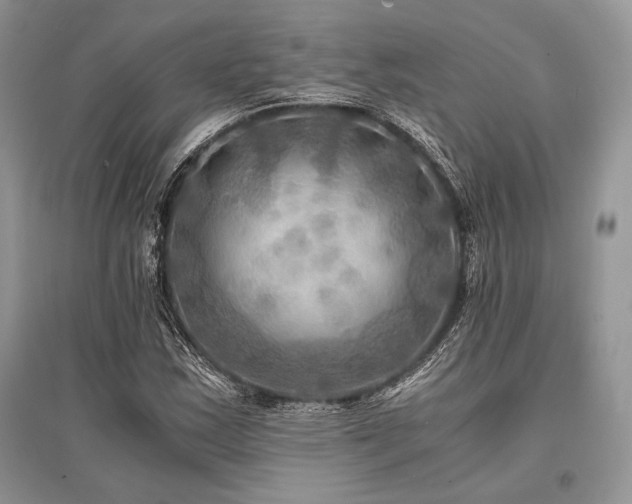 X0000096381163200801241230