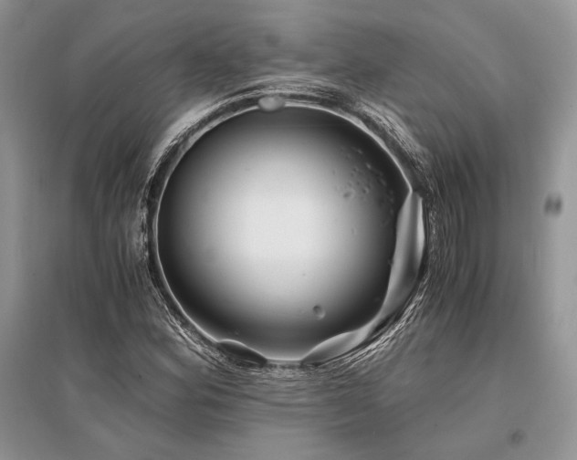 X0000096381164200801241230