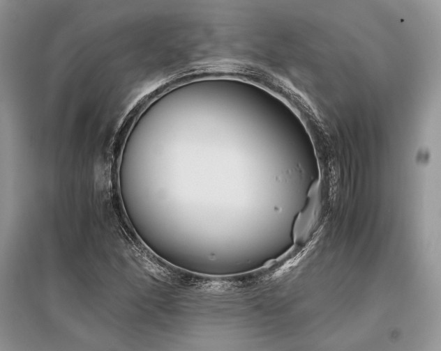 X0000096381166200801241230