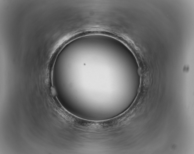 X0000096381167200801241230