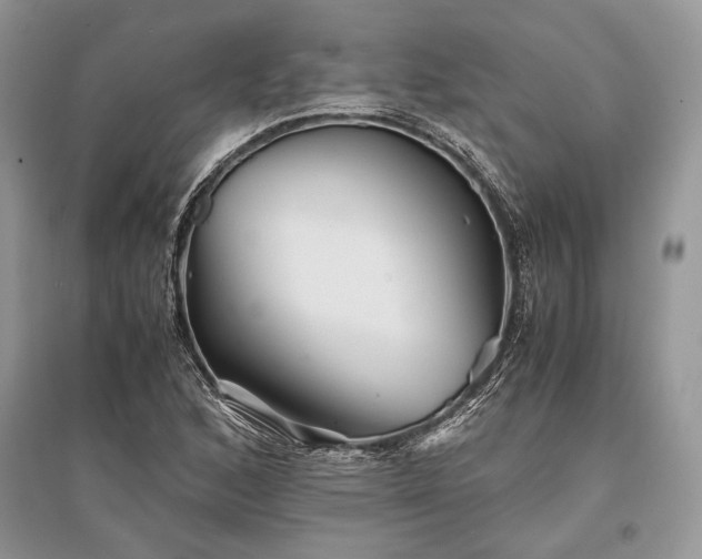 X0000096381168200801241230