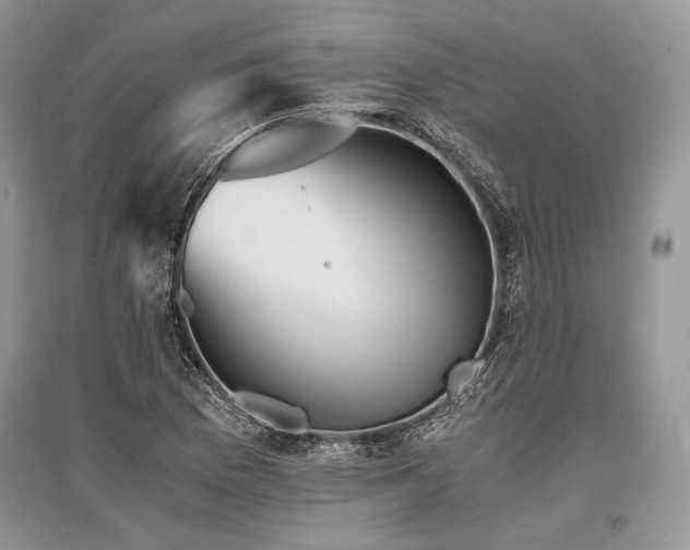 X0000096381169200801241230