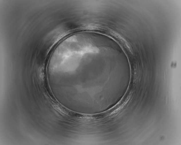 X0000096381170200801241230