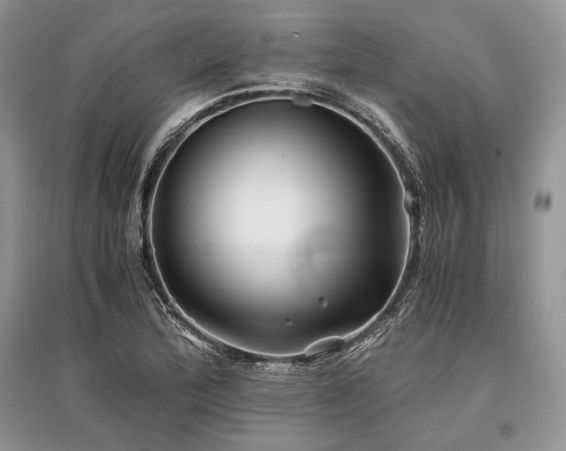 X0000096381172200801241230