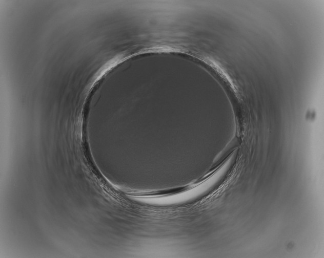 X0000096381173200801241230