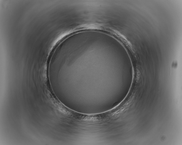 X0000096381174200801241230