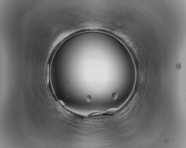 X0000096381175200801241230