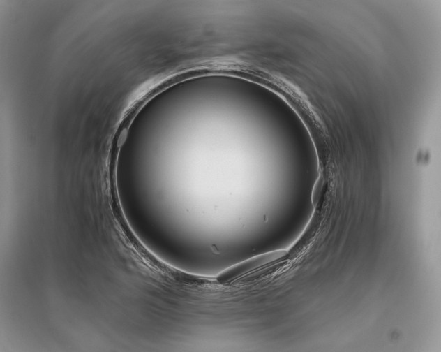 X0000096381176200801241230