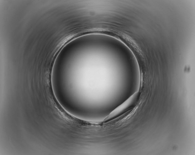 X0000096381177200801241230