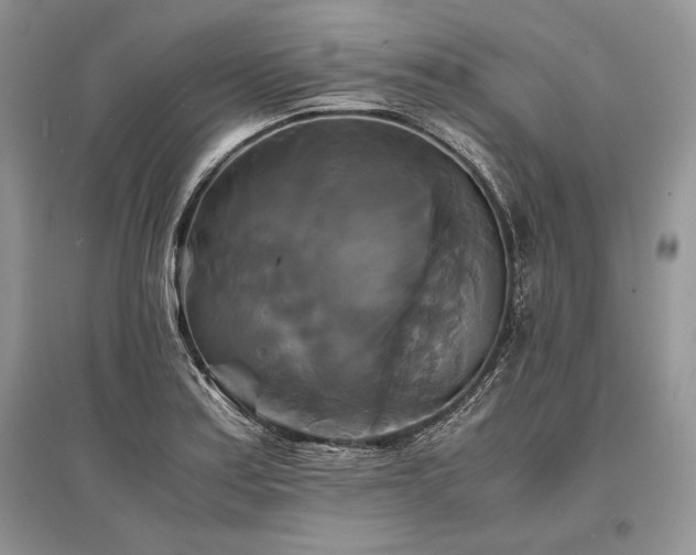 X0000096381179200801241230