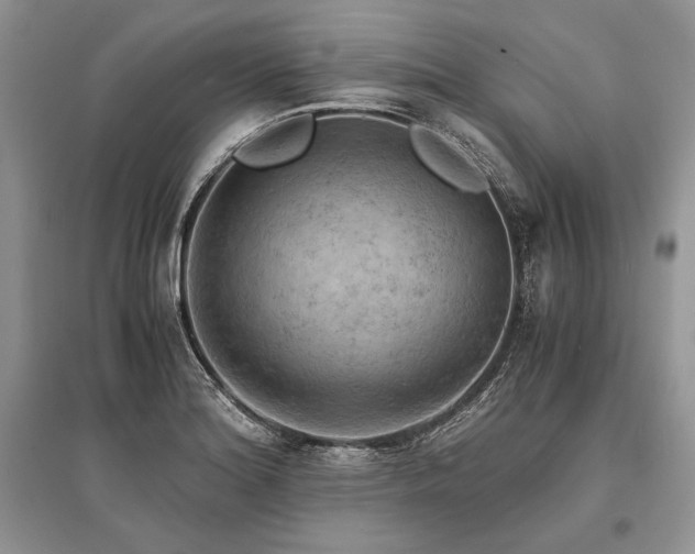 X0000096381180200801241230