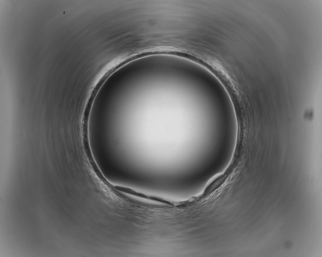 X0000096381181200801241230