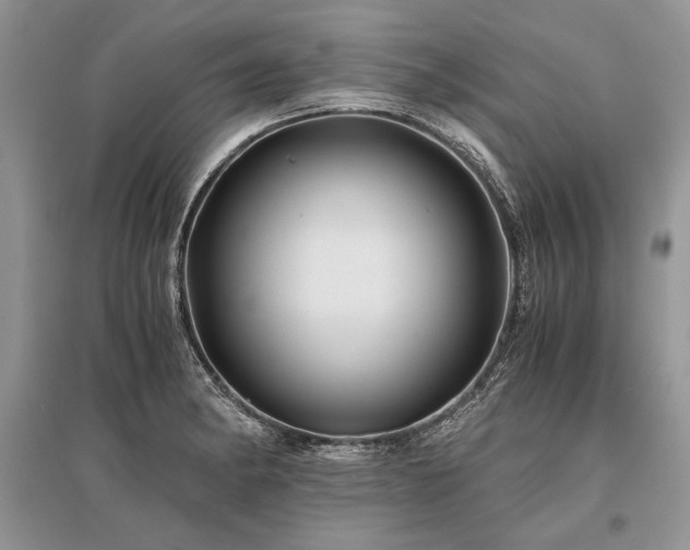 X0000096381182200801241230