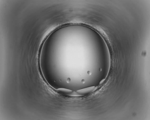 X0000096381183200801241230
