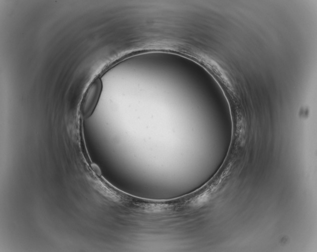 X0000096381184200801241230