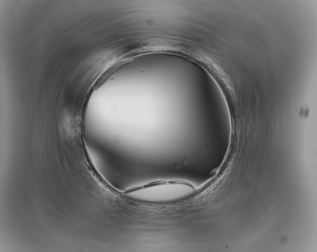 X0000096381185200801241230