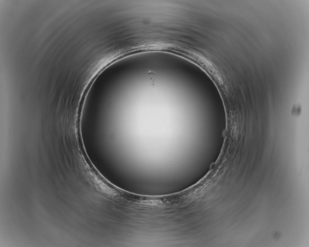 X0000096381186200801241230