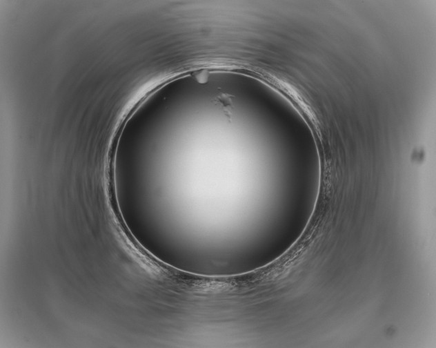 X0000096381187200801241230