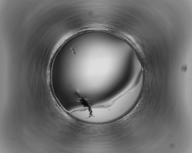 X0000096381188200801241230