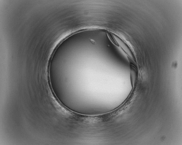X0000096381189200801241230