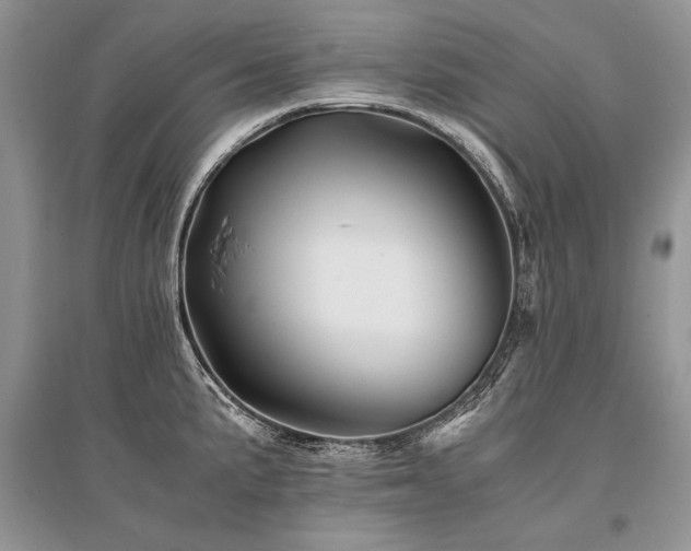 X0000096381191200801241230