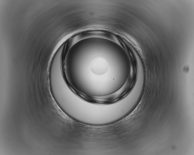 X0000096381192200801241230