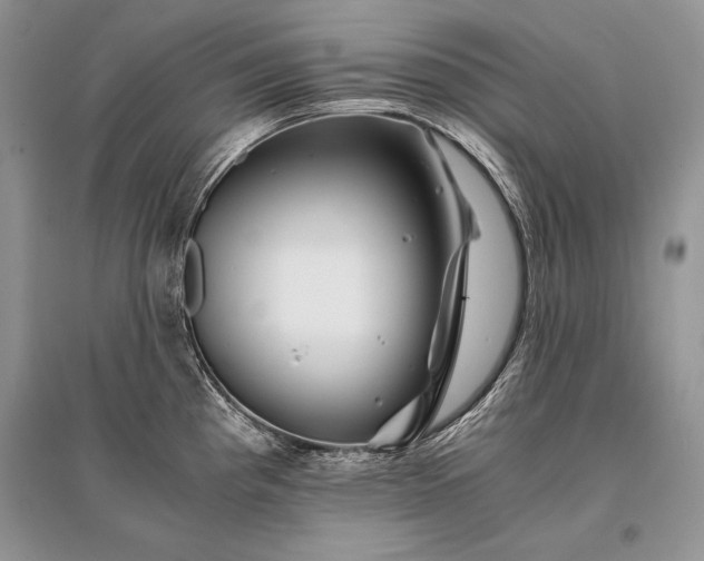 X0000096381193200801241230