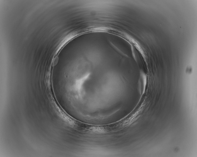 X0000096381194200801241230