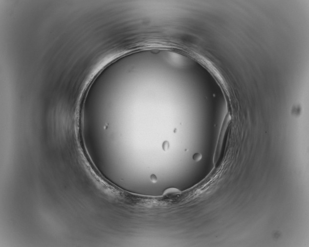 X0000096381195200801241229