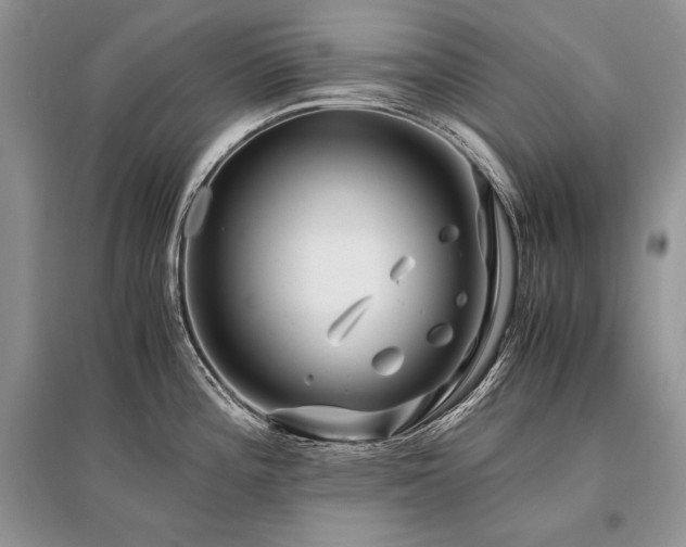 X0000096381196200801241229