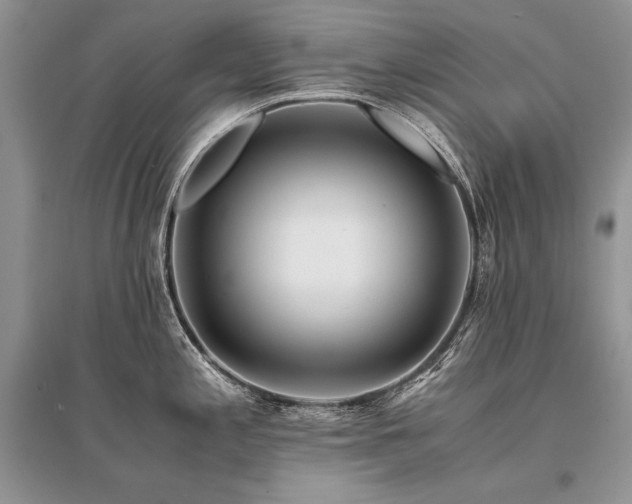 X0000096381197200801241229