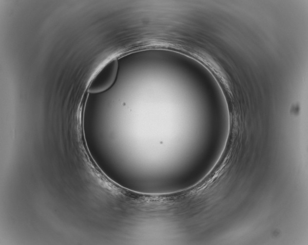 X0000096381198200801241229